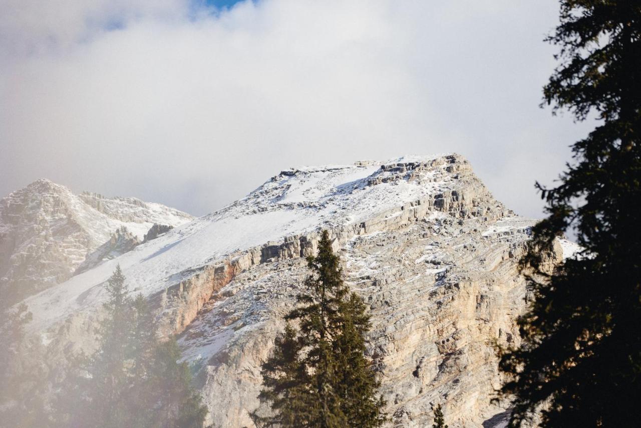 コルティーナ・ダンペッツォ Rifugio Malga Ra Stuaヴィラ エクステリア 写真