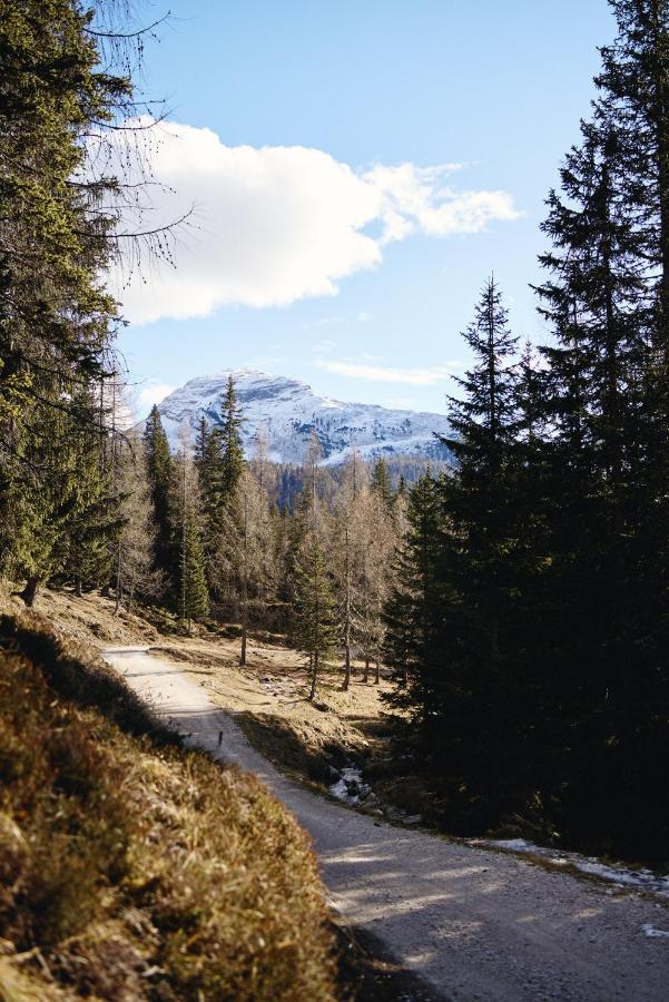 コルティーナ・ダンペッツォ Rifugio Malga Ra Stuaヴィラ エクステリア 写真