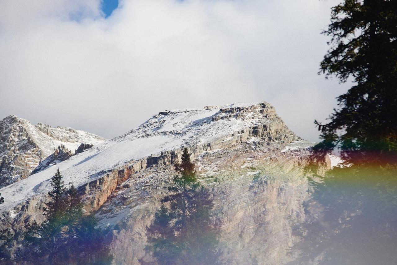 コルティーナ・ダンペッツォ Rifugio Malga Ra Stuaヴィラ エクステリア 写真