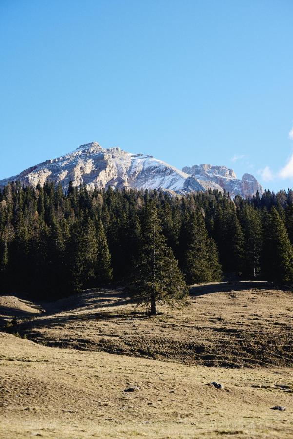 コルティーナ・ダンペッツォ Rifugio Malga Ra Stuaヴィラ エクステリア 写真