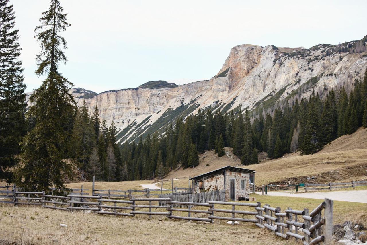 コルティーナ・ダンペッツォ Rifugio Malga Ra Stuaヴィラ エクステリア 写真