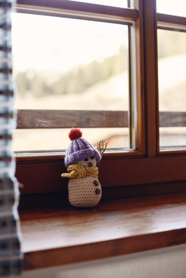 コルティーナ・ダンペッツォ Rifugio Malga Ra Stuaヴィラ エクステリア 写真