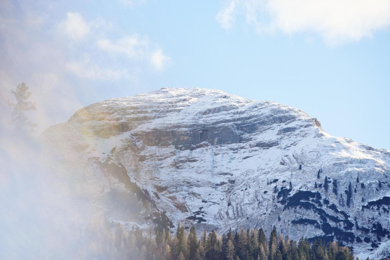 コルティーナ・ダンペッツォ Rifugio Malga Ra Stuaヴィラ エクステリア 写真